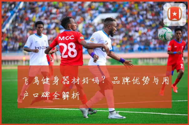 飞鸟健身器材好吗？品牌优势与用户口碑全解析