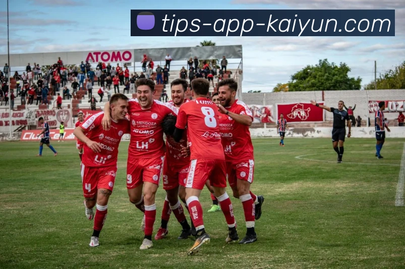 开云app平台生态图